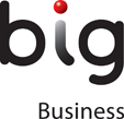 BIG Business Logo